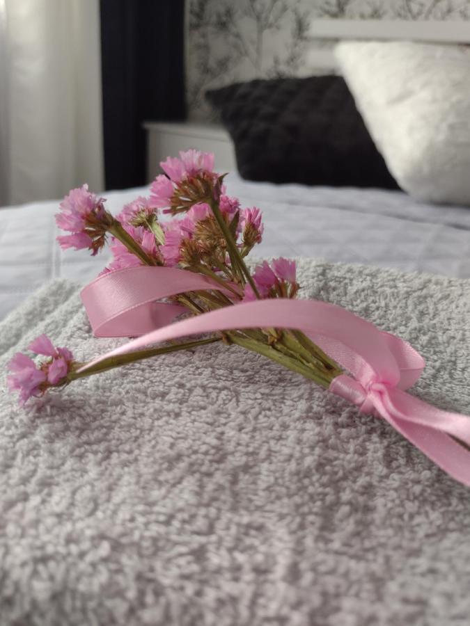 Apartament Nad Jeziorakiem Ilawa Luaran gambar