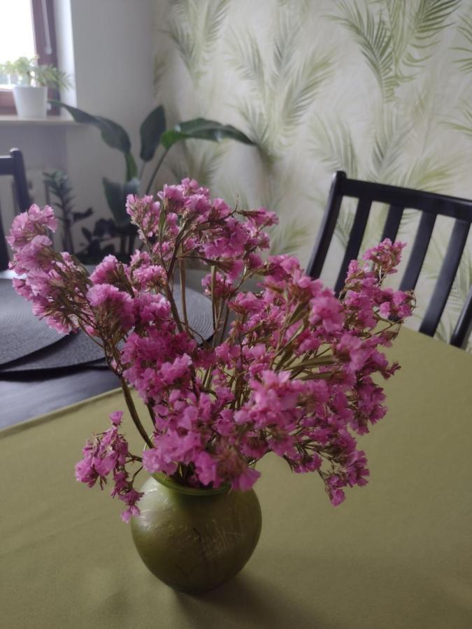 Apartament Nad Jeziorakiem Ilawa Luaran gambar