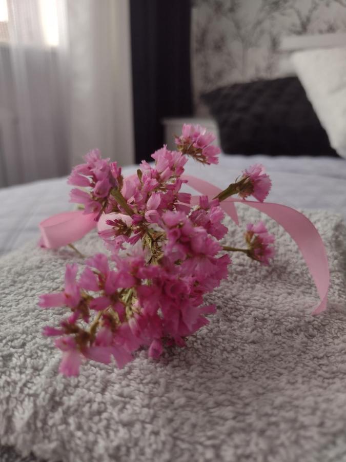 Apartament Nad Jeziorakiem Ilawa Luaran gambar